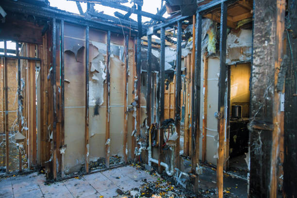 Professional Smoke Damage Removal technician working in Young America, MN